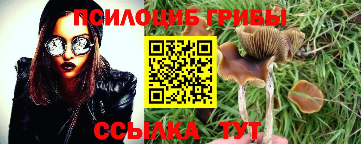 Галлюциногенные грибы мицелий  Галлюциногенные грибы ЛСД  Вход с VPN  Рассказово 