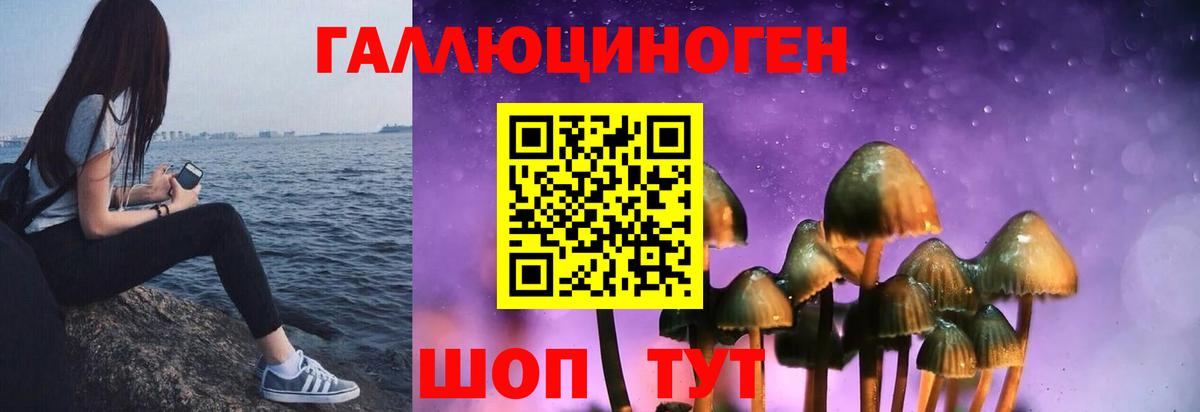 Галлюциногенные грибы мицелий Рассказово